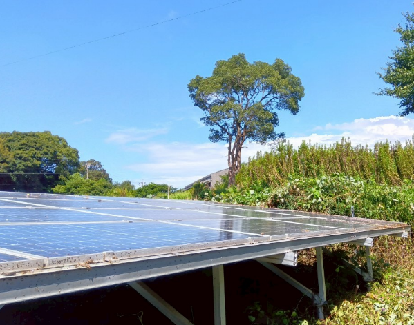 鹿児島県阿久根市発電所